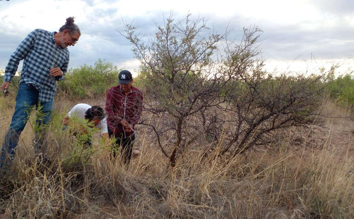 Recorrido por el Arroyo Mimbres, cerca de la zona arquerológica de Paquimé.