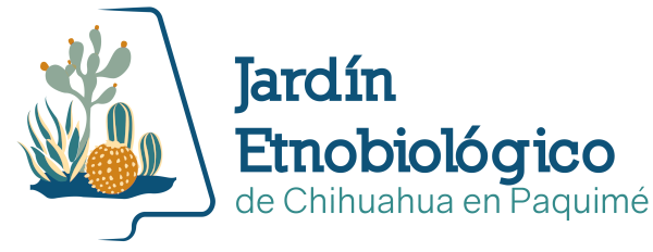 Jardín Etnobotánico de Chihuahua en Paquimé.